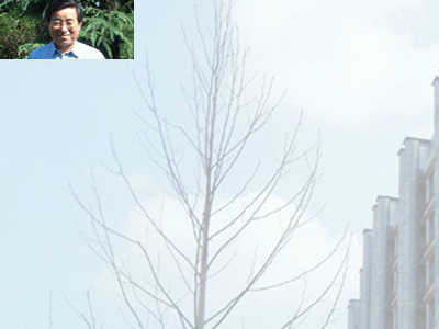 column5image